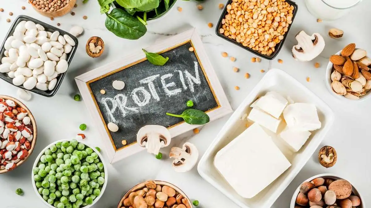 
                  Plant Based Protein: Benefits and Sources